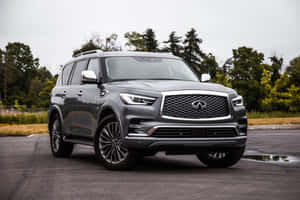 灰色Infiniti QX80 SUV停在潮濕的路面上，後面有樹木。 — MacBook 壁紙