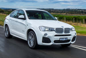 白色BMW X4在鄉村道路上行駛，背景有葡萄園。 — Surface Pro 壁紙