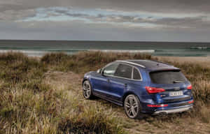 藍色 Audi SQ5 SUV 停泊在海岸沙丘上，靠近海洋。 — Steam Deck 壁紙