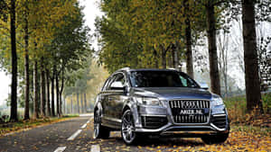 銀色Audi SUV停泊在高大樹木下、鋪滿落葉的秋季道路上。 — Audi R8 GIF 壁紙