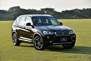 黑色BMW X3 SUV停泊在草地田野上，遠處有樹木。 — MacBook Pro M4 壁紙