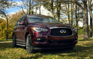 栗色 Infiniti SUV 停在秋日森林中，落葉與藍天相伴。 — Steam Deck 壁紙