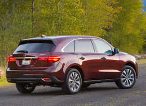 栗色Acura MDX SUV停泊在森林附近的碎石路上。 — 美學白色動態圖 壁紙
