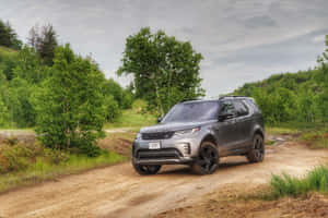 灰色 Land Rover Discovery 在綠色森林中的土路上。 — Surface Laptop 壁紙