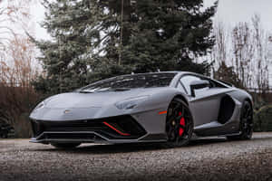 啞光灰色林寶堅尼 Aventador 紅色制動器，停泊在碎石路上，靠近樹木。 — 蘭博基尼 壁紙