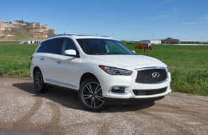白色Infiniti SUV停泊在碎石上，靠近在綠色田野中吃草的馬匹。 — Surface Pro 壁紙