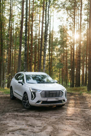 日落時分，松樹林中的泥路上停著一輛白色SUV。 — 小米Pad 8 壁紙