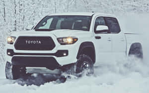 白色豐田Tacoma貨車在冬季森林的深雪中行駛。 — 老福特貨車 壁紙