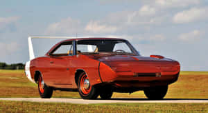 1969 Dodge Charger 圖片 — 1969 Dodge Charger 壁紙