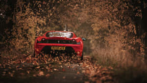 紅色法拉利在黃昏的森林道路上穿過秋葉行駛。 — 4K 法拉利 壁紙