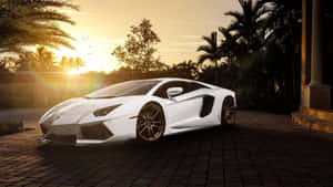 白色林寶堅尼 Aventador 在金色夕陽下停泊在磚砌車道上，旁邊有棕櫚樹。 — 林寶堅尼 4K 壁紙