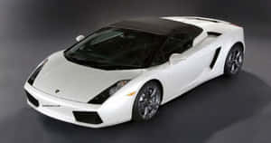 白色林寶堅尼 Gallardo Spyder 開篷跑車，配備黑色車頂和車輪，在攝影棚環境中。 — 酷車 壁紙