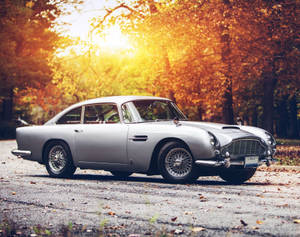 銀色經典 Aston Martin DB5 停泊在秋日道路上，金色樹葉和太陽眩光。 — 汽車 壁紙