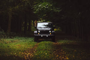 黑色Jeep Wrangler在鋪滿落葉的森林小徑上。 — 森林 壁紙