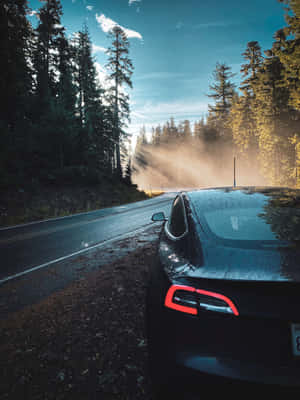 日落時分森林道路上的黑色Tesla，伴隨著霧氣和松樹 — iPad Pro M4 壁紙