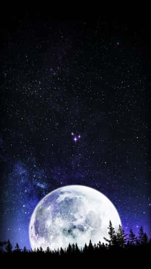 一輪大月亮在星空下夜間的森林上方升起。 — 月色夜空 壁紙