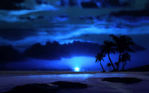 月光下的海灘，棕櫚樹剪影映襯著深藍色的夜空。 — 1920x1200 壁紙