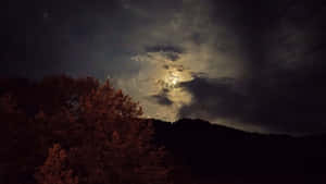 月光穿過雲層，灑落在夜晚的黑暗森林上。 — 夜空 壁紙