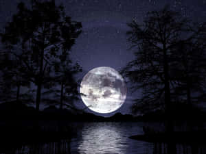 滿月映照湖面，樹木剪影襯托繁星夜空。 — 月色夜空 壁紙