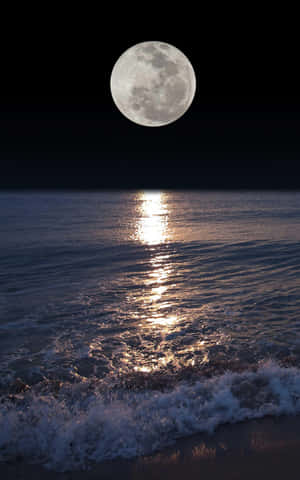 滿月在海浪上反射 — 月色夜空 壁紙
