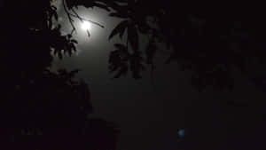 月光穿過樹枝，夜空中有一顆遙遠的藍色行星。 — 夜空 壁紙