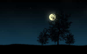 月光照耀下的樹木在星空夜空中呈現剪影。 — 月色夜空 壁紙