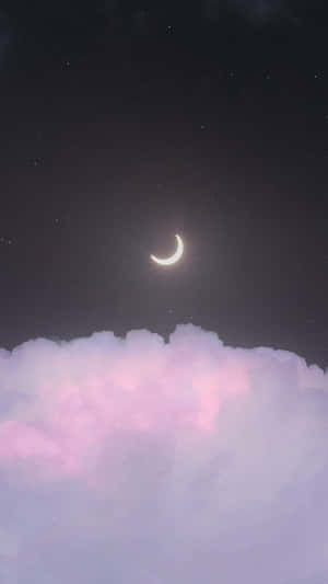 彎月在繁星點點的夜空中照耀著粉彩色的雲彩。 — 森林 壁紙