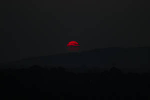 黃昏時，一輪紅日落在黑暗的山丘和樹木後面。 — 太陽 壁紙