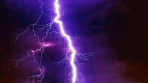 一道鮮明的紫色閃電照亮了黑暗的暴風雨天空。 — 淺紫色動態圖片 壁紙