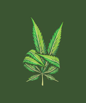 風格化的大麻葉插圖，以綠色調繪製在深色背景上。 — 高飛 壁紙