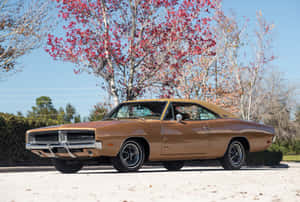 1969年道奇Charger圖片 — 酷車 壁紙