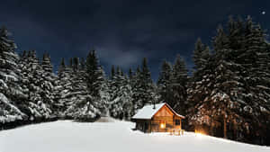 夜晚松樹林中一間被雪覆蓋的小屋，溫暖的燈光從屋內透出。 — 冬日美學 壁紙