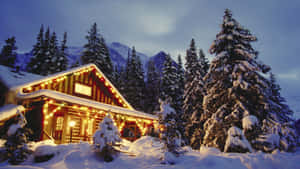雪地森林中的舒適小屋，暮色中溫暖的燈光。 — 冬日美學 壁紙