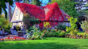 陽光花園中一間被紅色常春藤覆蓋的小屋，配有綠色草坪和庭院家具。 — 春天 壁紙