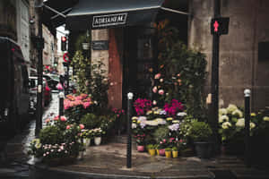 一間花店在雨天的城市街道上擺滿了色彩繽紛的花朵。 — 低調 壁紙