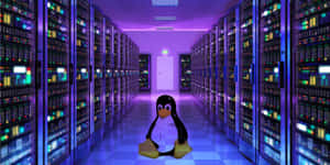 Linux企鵝吉祥物在發光機架和紫色燈光的伺服器房間中。 — 遊戲 壁紙