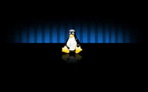 Linux 圖片