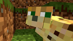 一隻從草洞中探頭的Minecraft貓咪。 — 型格 Minecraft 壁紙