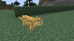一隻像素化的橙色貓在Minecraft遊戲世界中的草地上行走。