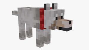 一隻戴着紅色項圈的灰色Minecraft狼。 — 我的世界 壁紙
