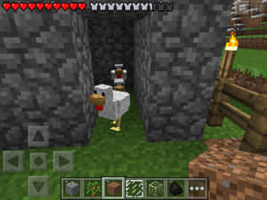 Minecraft石頭隧道入面嘅一隻雞，附近有火炬同木柵欄。