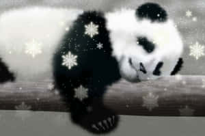 冬天裡，一隻在木頭上睡覺的熊貓被發光的雪花圍繞。 — 熊貓 壁紙