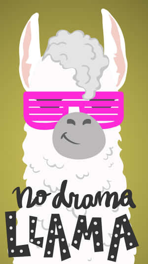 一隻卡通羊駝戴著粉紅色太陽眼鏡，頭頂冒著蒸氣，並有「No Drama Llama」字樣。