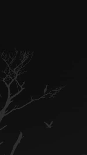 光禿禿的樹枝上棲息的剪影鳥，另一隻鳥在黑暗的夜空中飛翔。 — 極簡美學 壁紙