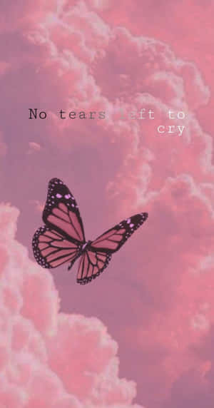 一隻帝王斑蝶穿過粉紅雲朵飛翔，帶有文字 'No tears left to cry'。 — 可愛少女風gif 壁紙