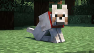 一隻戴著紅色項圈的像素化狗坐在Minecraft森林的草地上。 — 型格 Minecraft 壁紙