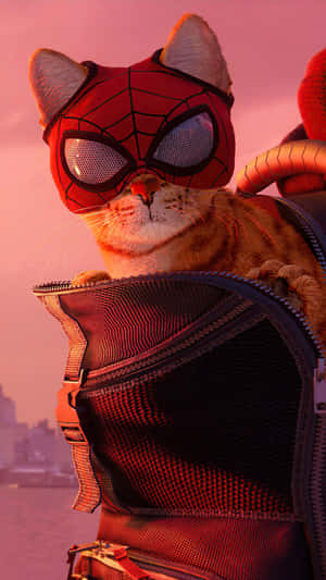 一隻戴著蜘蛛俠面具的貓在日落時從背包裡出現。 — Miles Morales 動漫 壁紙