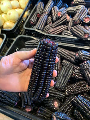 在農產品市場上手持黑色玉米，附近有黃色洋蔥。 — 3:4 壁紙