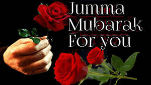 手拿紅玫瑰，帶有Jumma Mubarak祝福文字。 — 玫瑰 壁紙