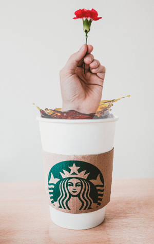 手從 Starbucks 咖啡杯中伸出，握著紅色康乃馨，伴有飛濺。 — Galaxy Tab S9 Ultra 壁紙